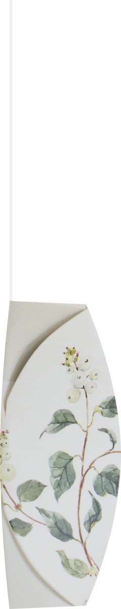 slide 3 of 9, Radius Pure Silk Natural Unscented Floss 1 ea, 1 ct