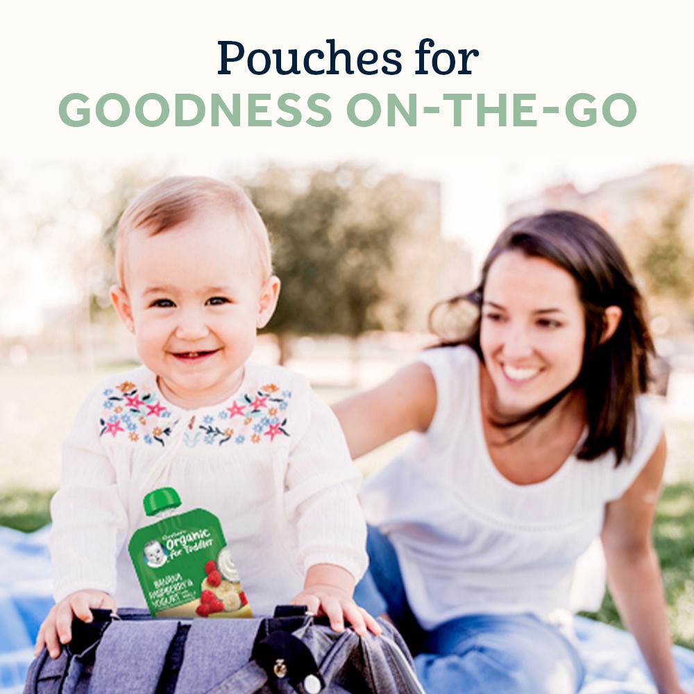 slide 4 of 5, Gerber Organic 2nd Foods Baby Food, Apples Mangoes with Rice & Vanilla, 3.5 oz