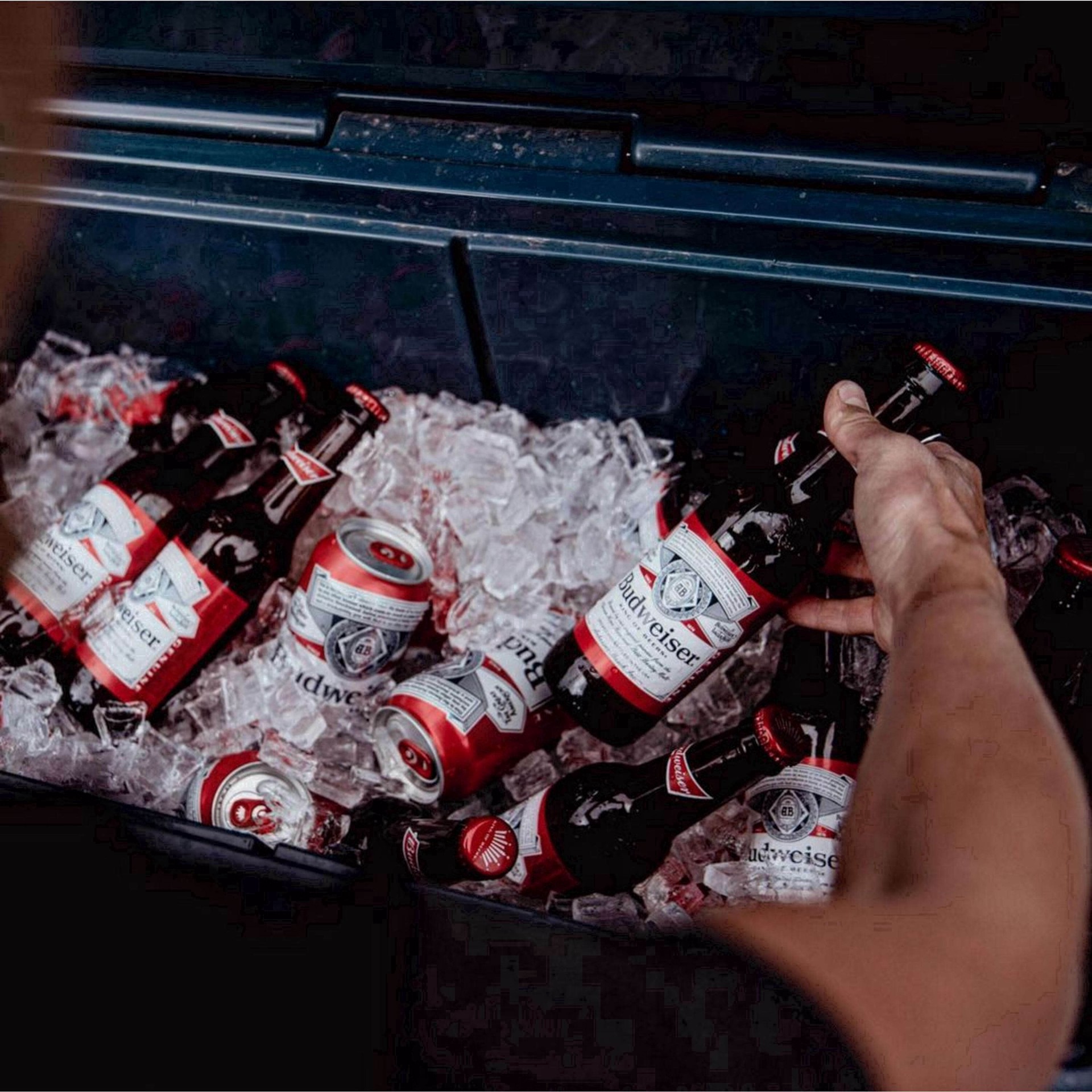 slide 62 of 93, Budweiser American Lager Beer 30 Pack, 12 fl oz Cans, 360 fl. oz