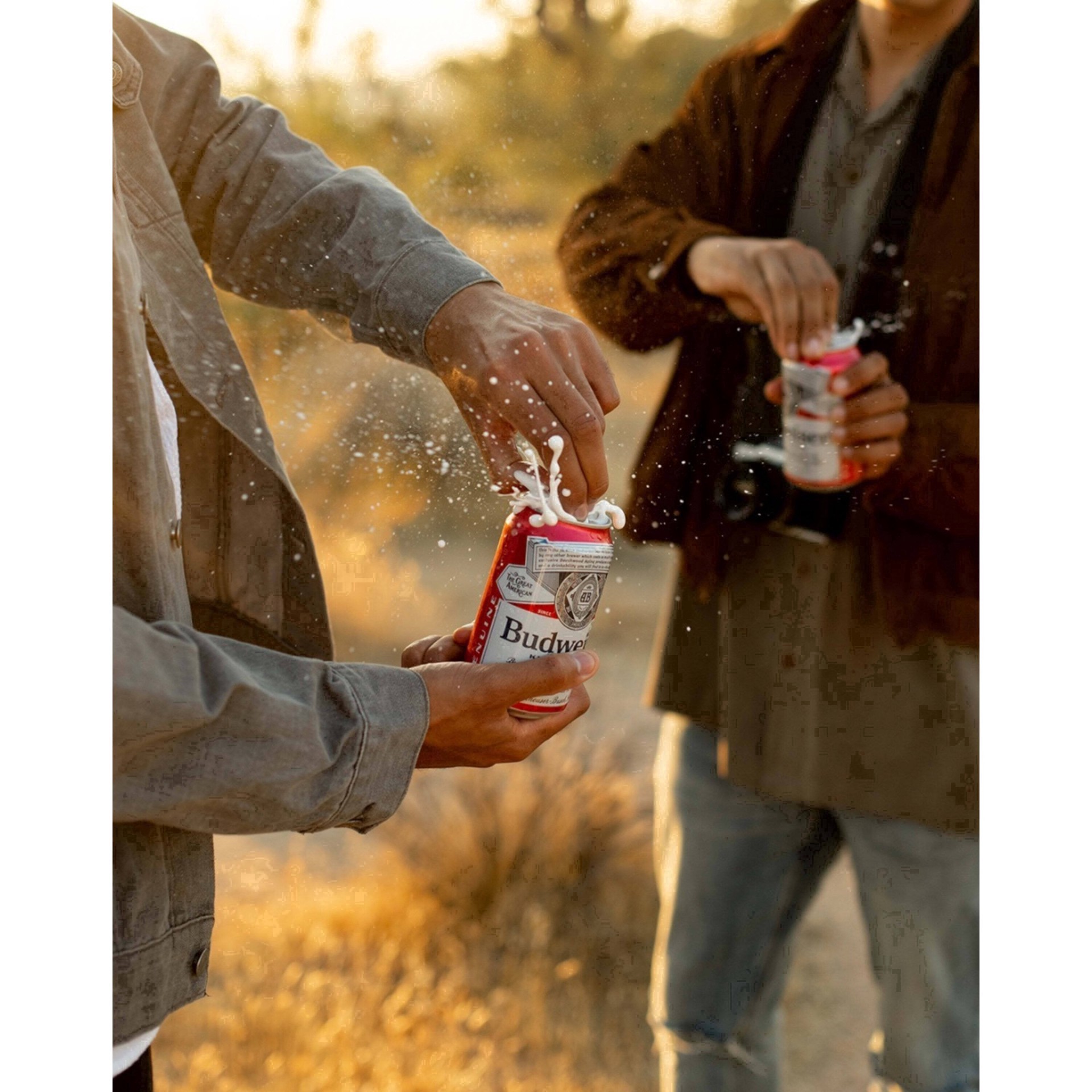 slide 82 of 93, Budweiser American Lager Beer 30 Pack, 12 fl oz Cans, 360 fl. oz