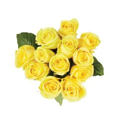 Nob Hill Trading Co. Dozen Yellow Roses - 1 Ea