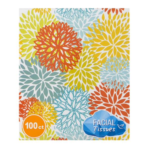 slide 1 of 1, Facial Tissue Cube, 100 ct