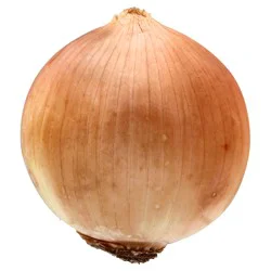 Organic Yellow Onion - 1 ea