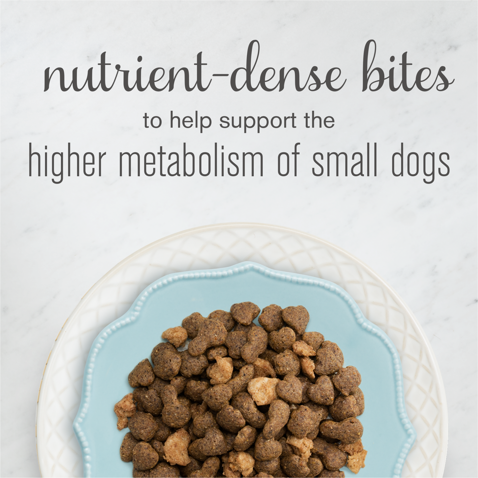 slide 5 of 7, Purina Bella Natural Small Breed Dry Dog Food, Natural Bites With Real Turkey & Chicken, 12 lb