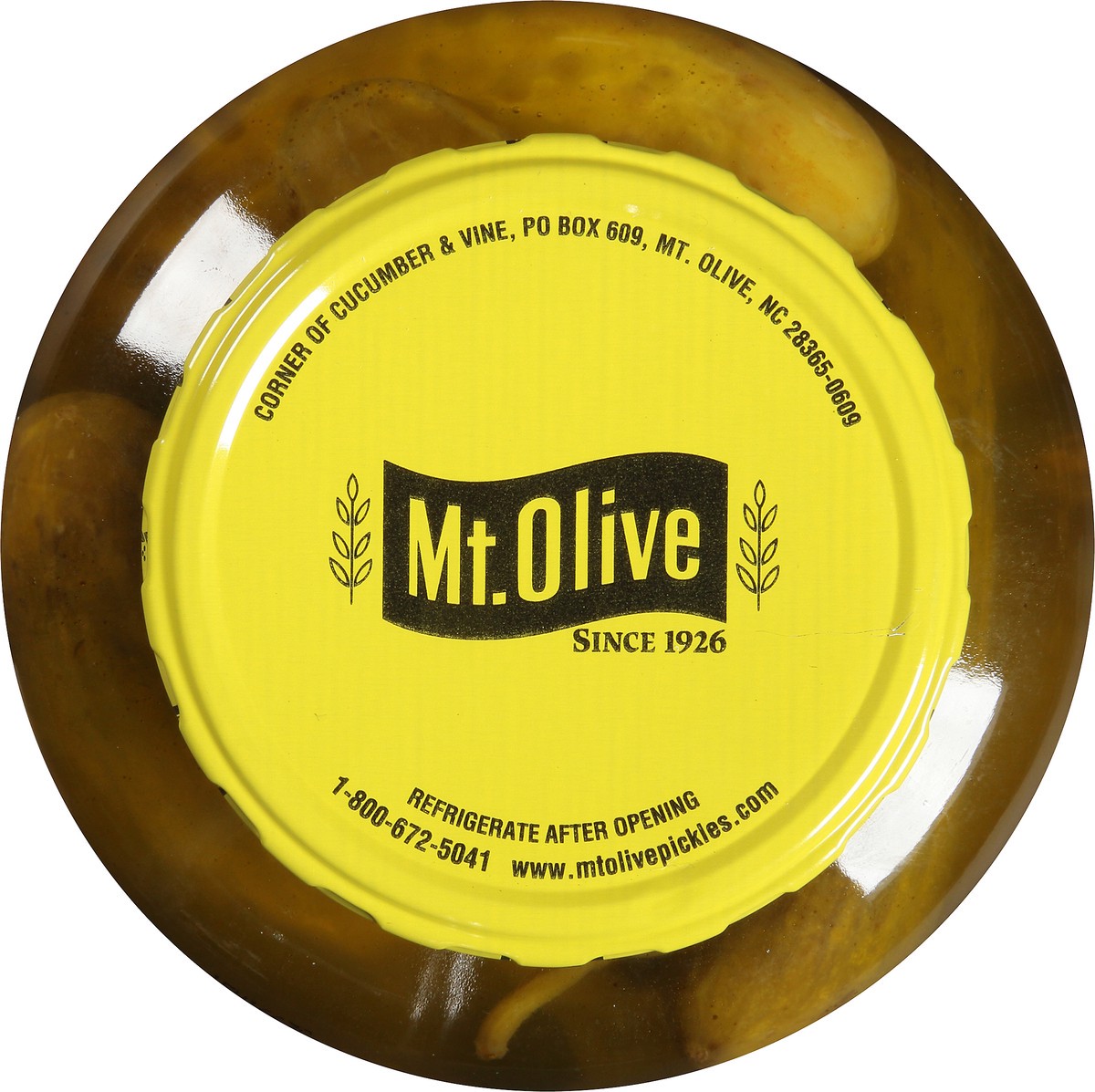 slide 3 of 8, Mt. Olive Hot N Spicy Kosher Dills Pickles 46 fl oz Jar, 46 fl oz