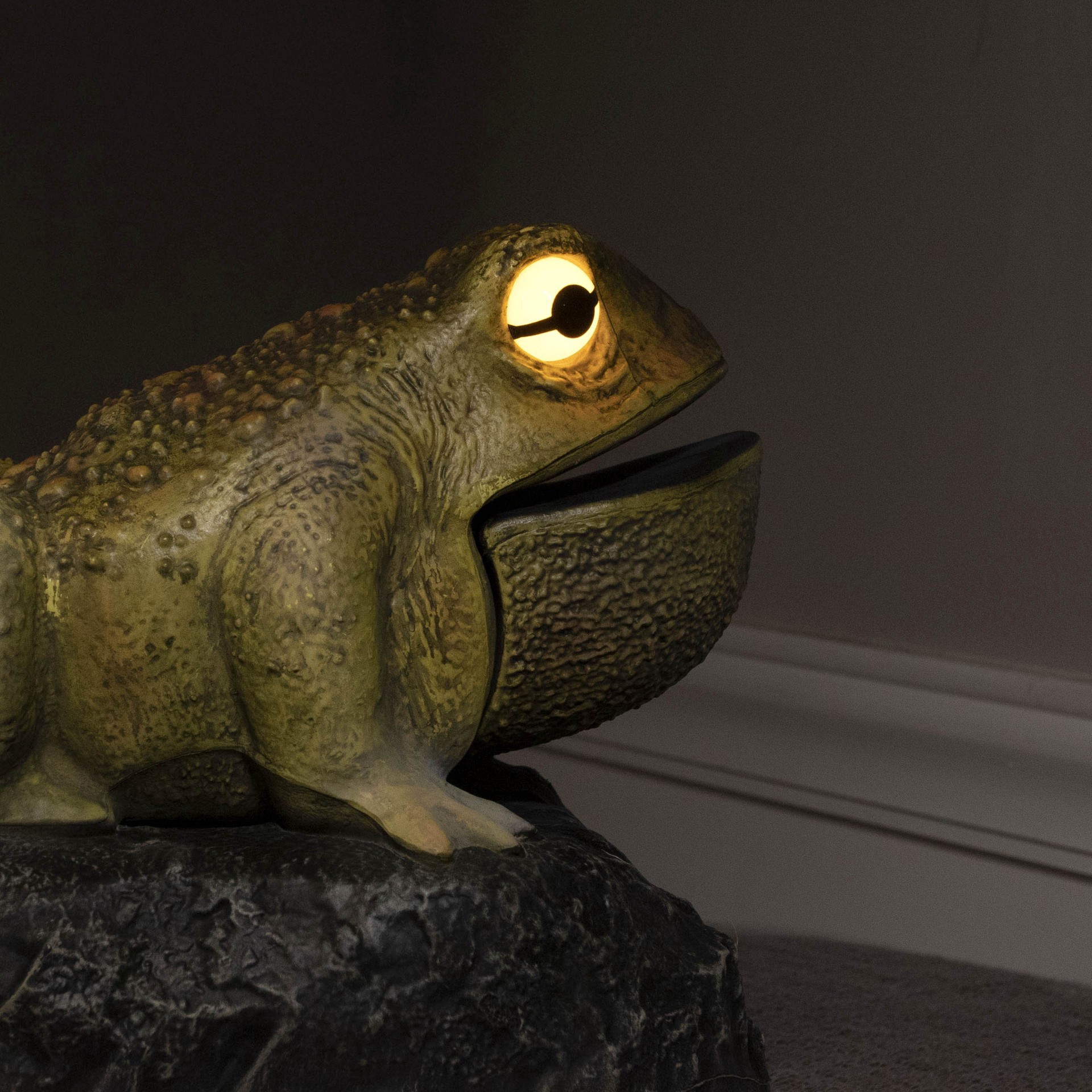 slide 3 of 5, 11.25" Led Animated Croaking Toad By Ashland, 11.25 in