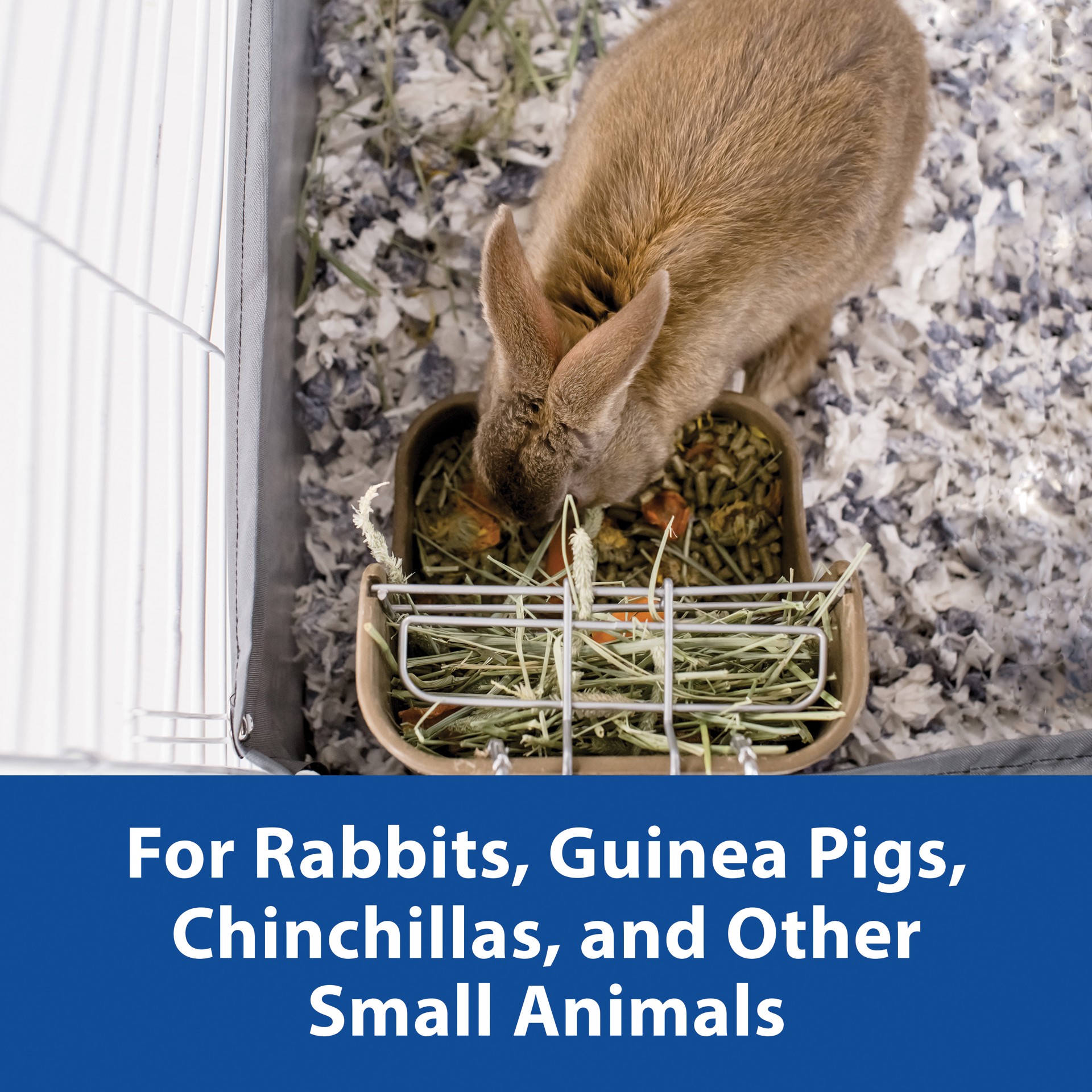 slide 6 of 8, Kaytee Hard Goods Kaytee Hay-N-Food Feeder, 1 ct