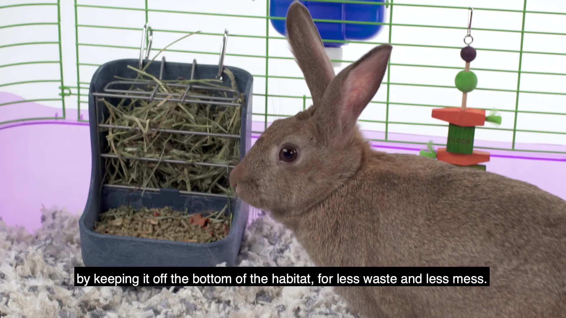 slide 4 of 8, Kaytee Hard Goods Kaytee Hay-N-Food Feeder, 1 ct