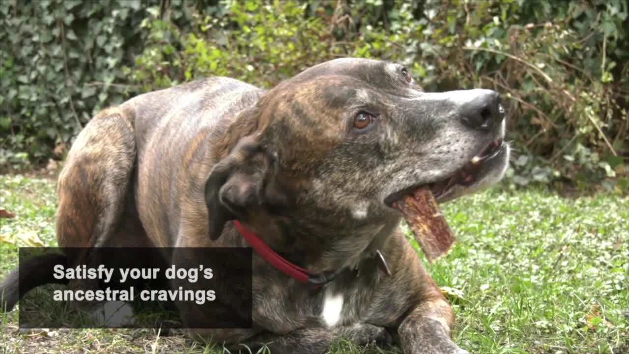 slide 2 of 9, Cadet Beef Hide Knotted Dog Chews 2 Pound, 1 ct