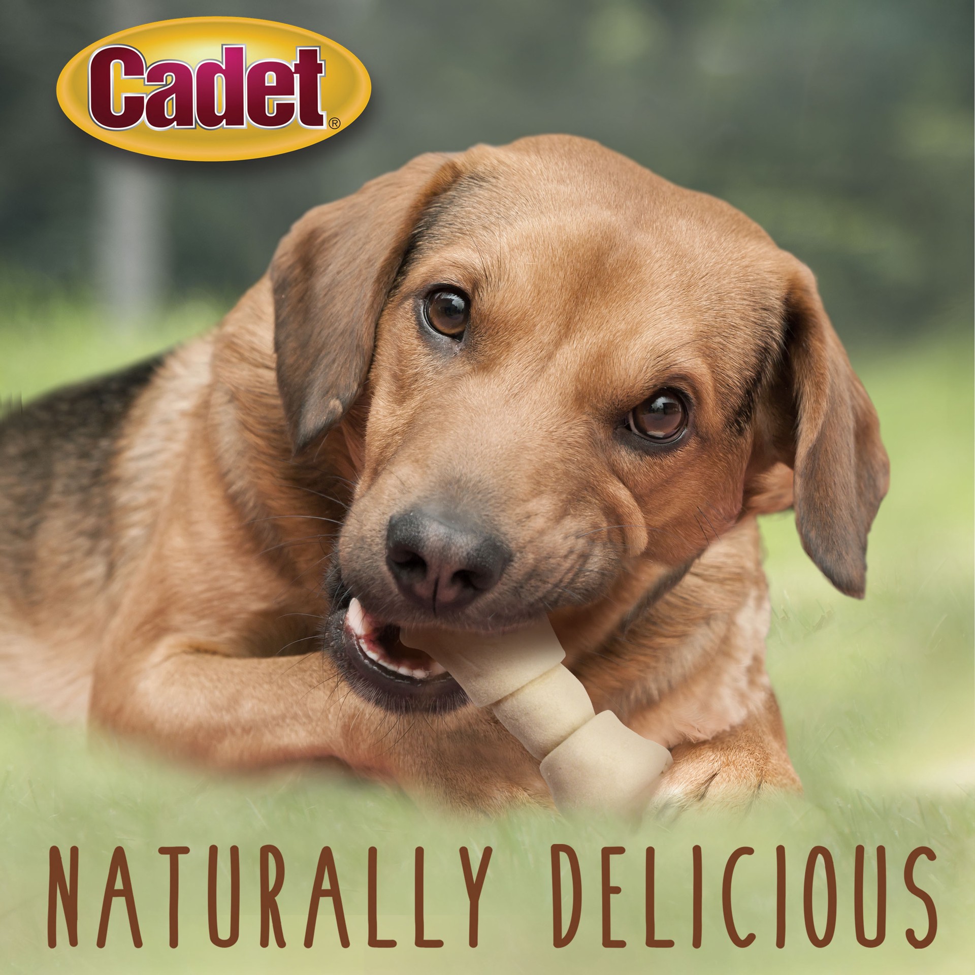 slide 6 of 9, Cadet Beef Hide Knotted Dog Chews 2 Pound, 1 ct