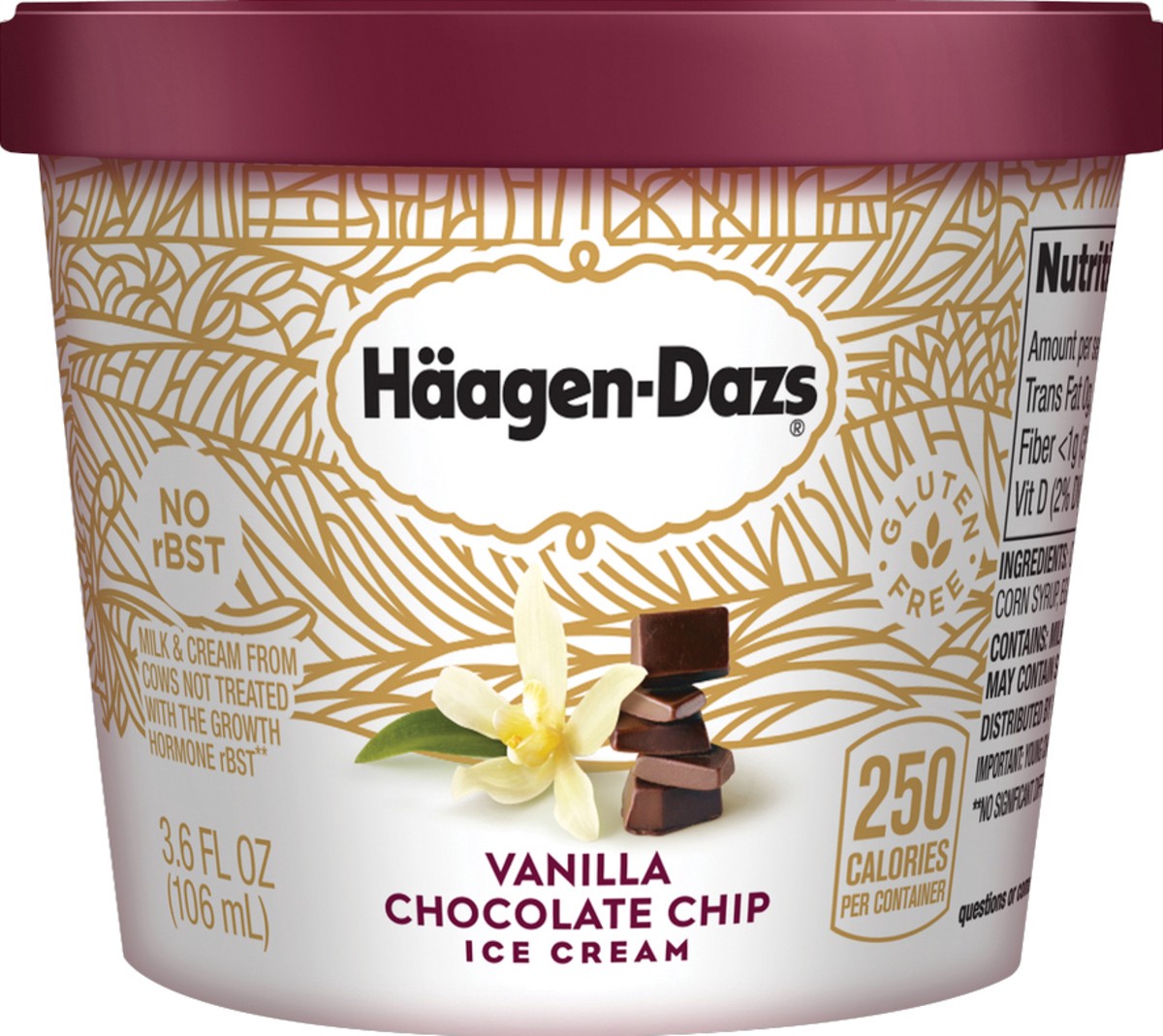 slide 4 of 6, Häagen-Dazs Vanilla Chocolate Chip Ice Cream 3.6 fl oz, 3.6 fl oz