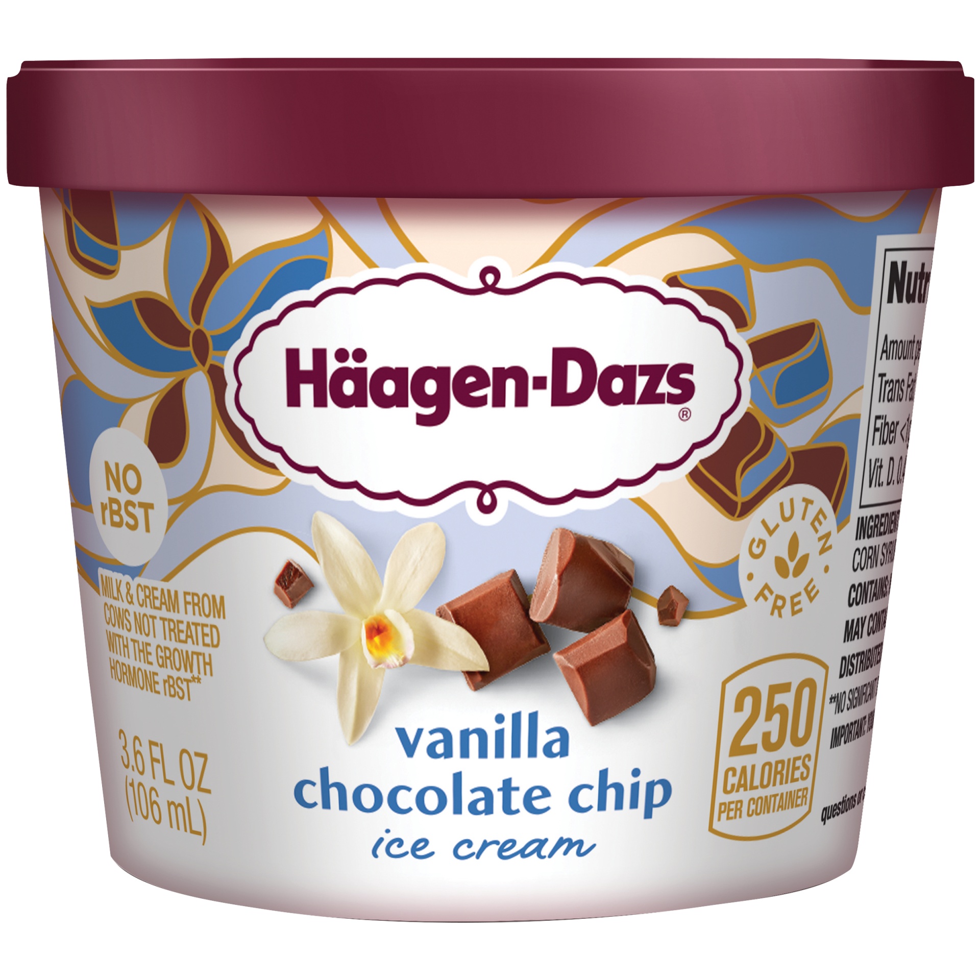 slide 1 of 1, Haagen-Dazs Vanilla Chocolate Chip Ice Cream, 3.6 fl oz