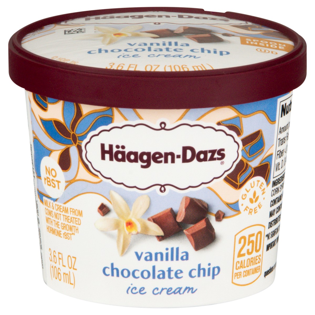 slide 1 of 6, Häagen-Dazs Vanilla Chocolate Chip Ice Cream 3.6 fl oz, 3.6 fl oz