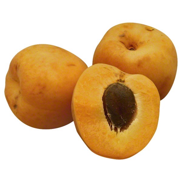 slide 1 of 1, Apricots 1 ea, 1 ct