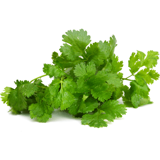 slide 1 of 1, Cilantro, 1 ct