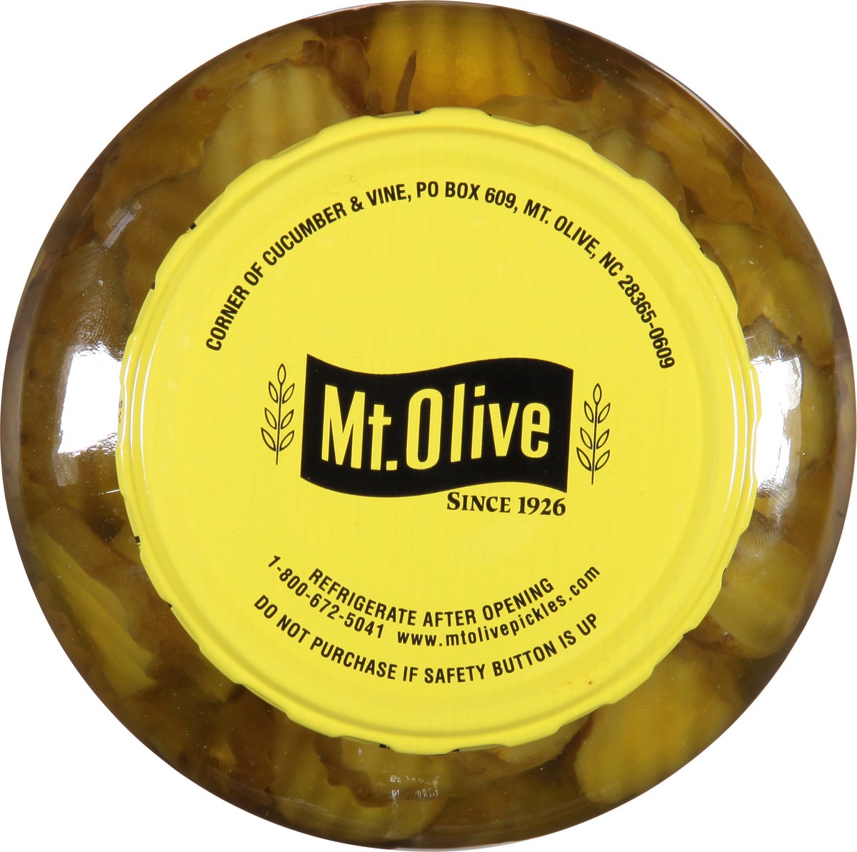 slide 6 of 9, Mt. Olive Hamburger Dill Chips Pickles 46 fl oz Jar, 46 fl oz