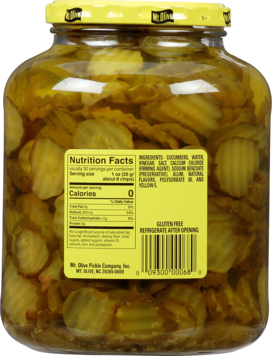 slide 3 of 9, Mt. Olive Hamburger Dill Chips Pickles 46 fl oz Jar, 46 fl oz