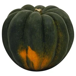 Organic Acorn Squash