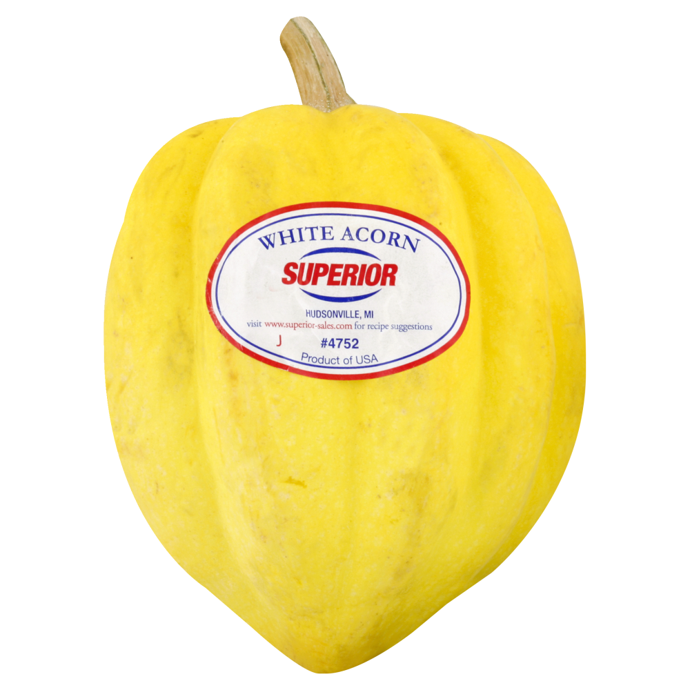 slide 1 of 1, Case White Acorn Squash, 1 ct