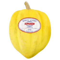 Case White Acorn Squash