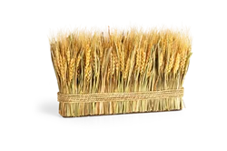 Wheat Stack Fall Decoration, Short