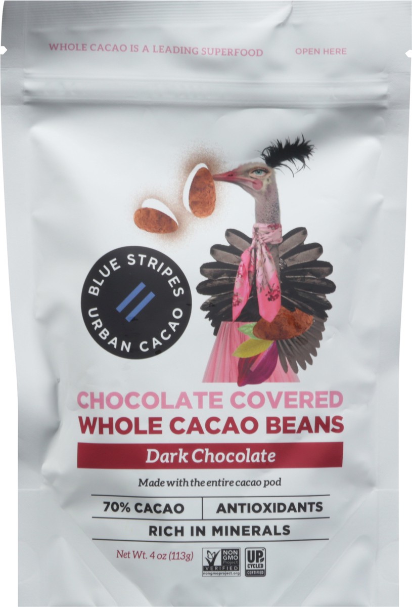 slide 5 of 11, Blue Stripes Dark Chocolate Whole Cacao Beans 4 oz, 4 oz