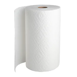 Publix Select-A-Size Paper Towel Double Roll