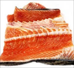 Fish-Bone Salmon Bone