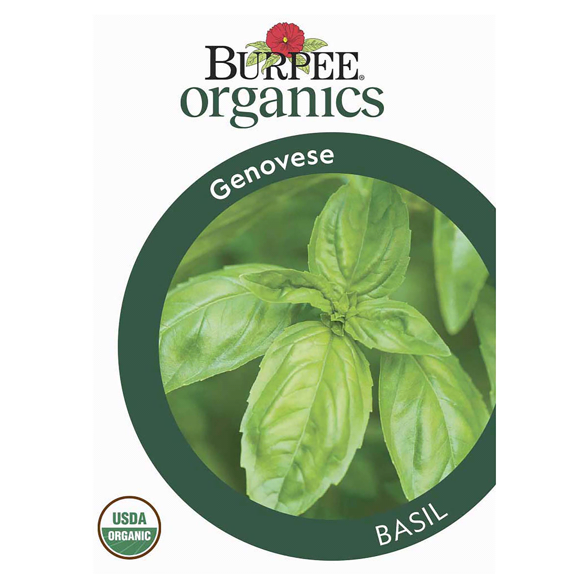 slide 1 of 5, Burpee Org Herb Basil Genovese Seeds, 1 ct