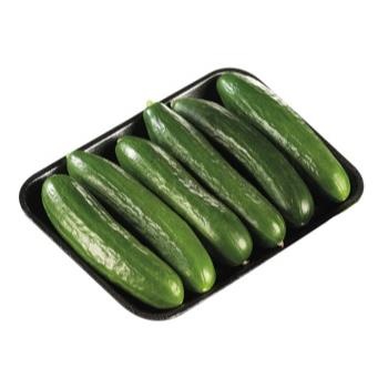 slide 1 of 1, Mucci Farms Cucumbers Mini 1Lb, 6 ct