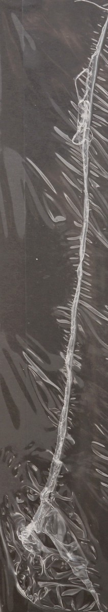 slide 7 of 9, Anderson's Candies Chocolate Covered Oreos 8 oz, 8 oz