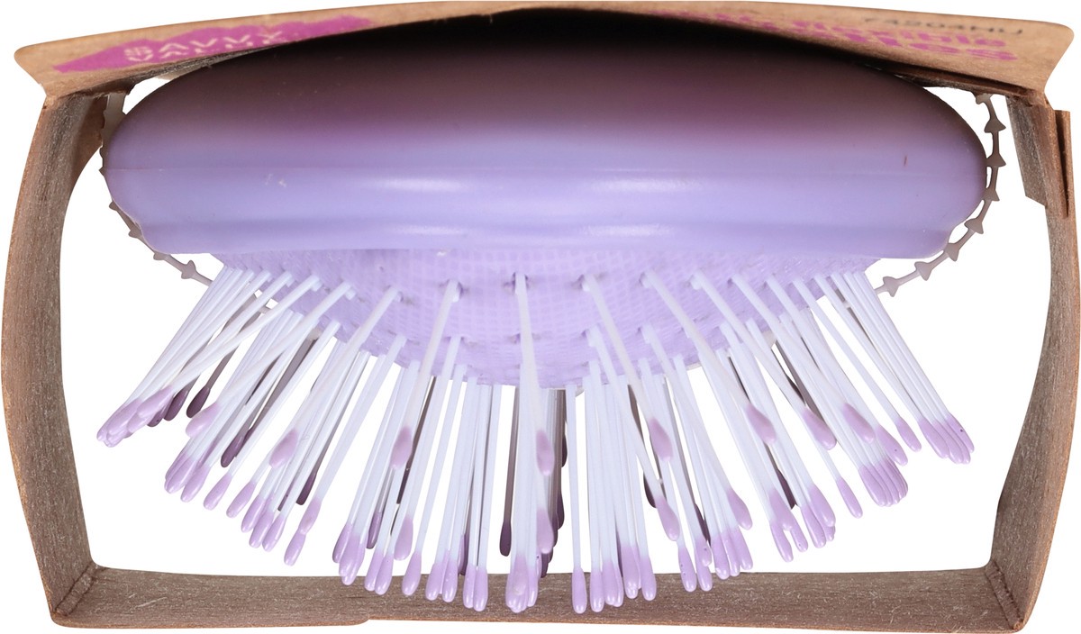 slide 5 of 11, Dtangl Brush, 1 ct