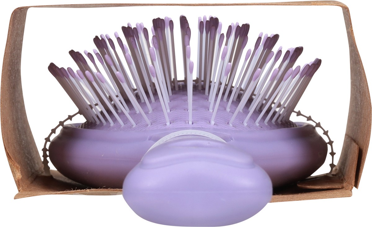 slide 11 of 11, Dtangl Brush, 1 ct