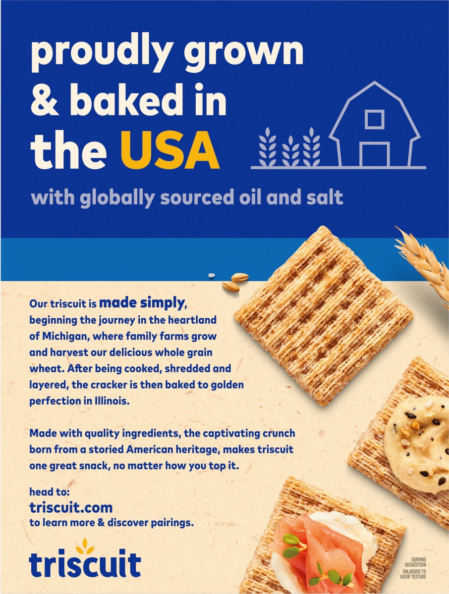 slide 6 of 13, Triscuit Original Whole Grain Wheat Crackers, Vegan Crackers, Party Size, 17 oz, 17 oz