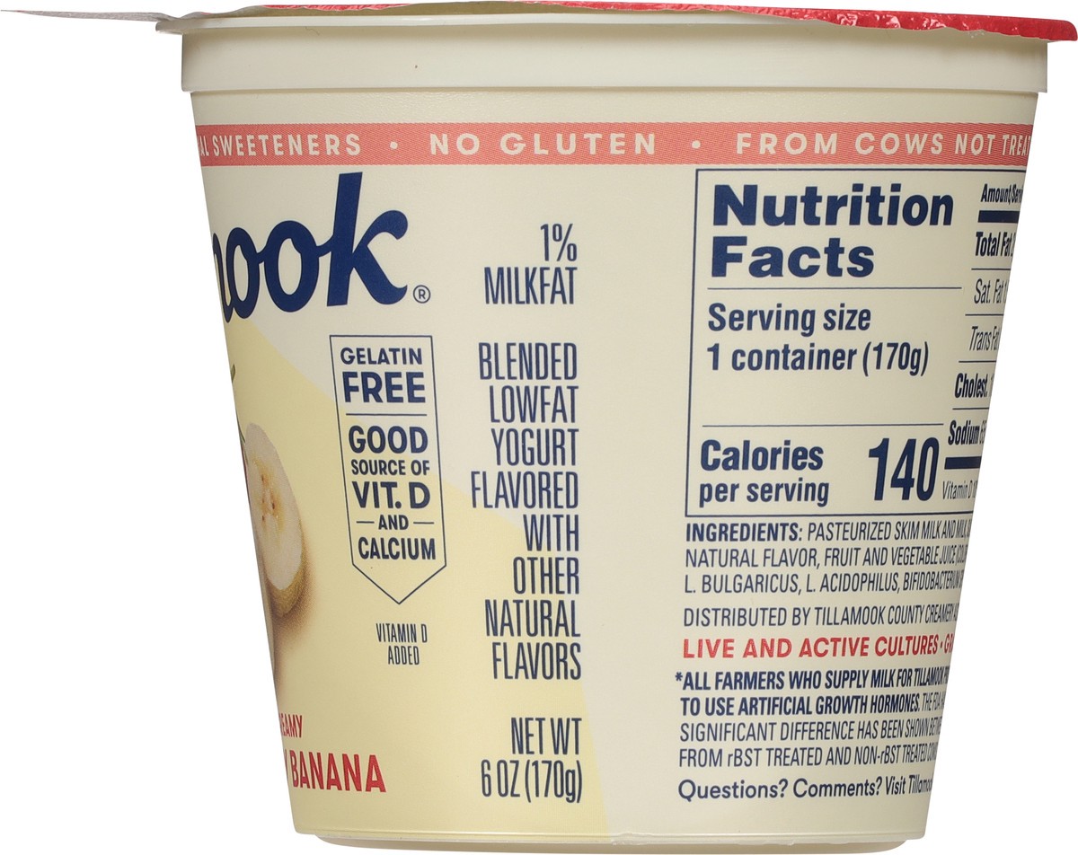 slide 8 of 9, Tillamook Lowfat Strawberry Banana Yogurt 6 oz, 6 oz