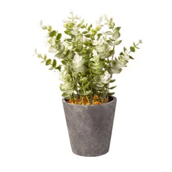 Bambeco Tall Eucalyptus In Planter