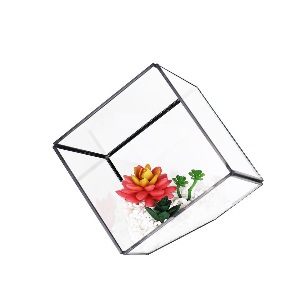 slide 1 of 1, Bambeco Glass/Metal Square Terrarium With Succulents, 6 in