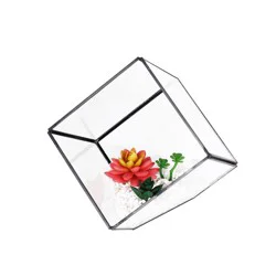 Bambeco Glass/Metal Square Terrarium With Succulents