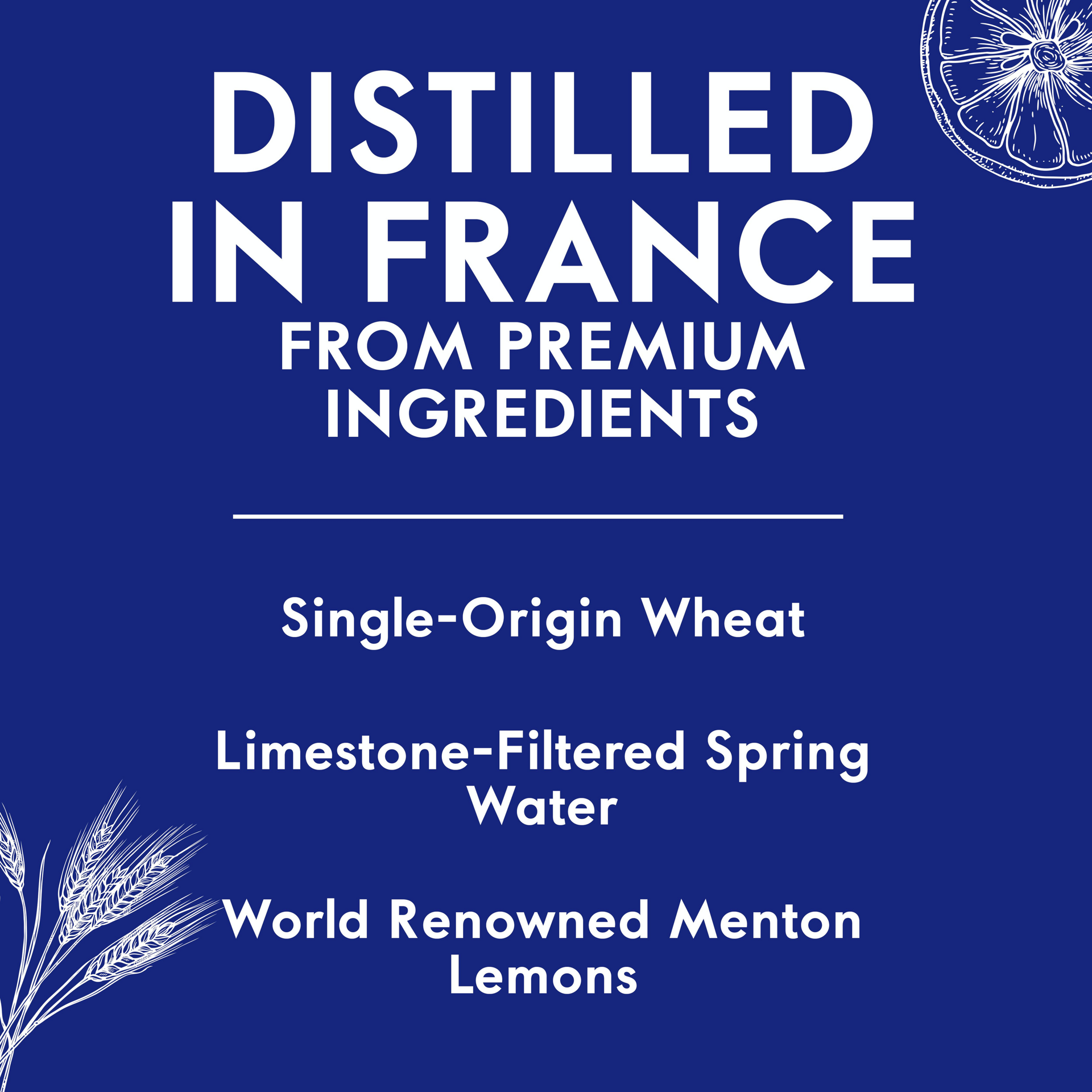 slide 4 of 5, Grey Goose Le Citron Flavored Vodka 40% 100Cl/1L, 1 liter