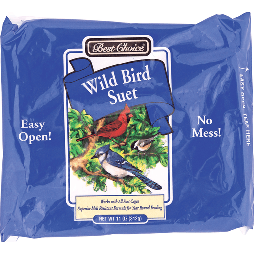 slide 1 of 1, Best Choice Wild Bird Flavor Suet Plus, 11 oz