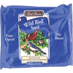 Best Choice Wild Bird Flavor Suet Plus