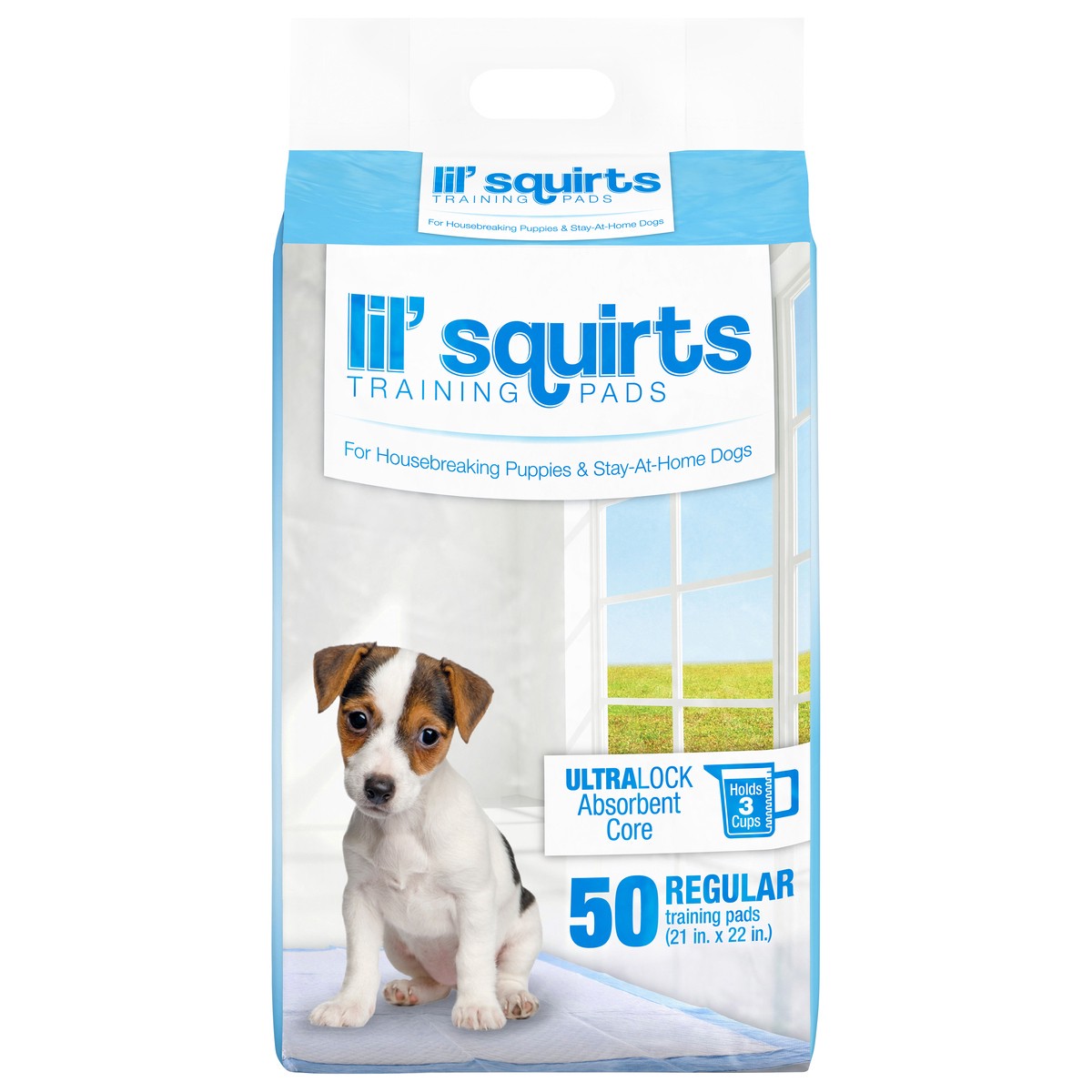 slide 1 of 5, Ruffin' It Lil' Squirts Training Pads Floor Protection Pads - 50 pk, 50 ct