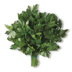 Parsley, Italian