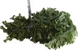 Produce Kale 1 ea
