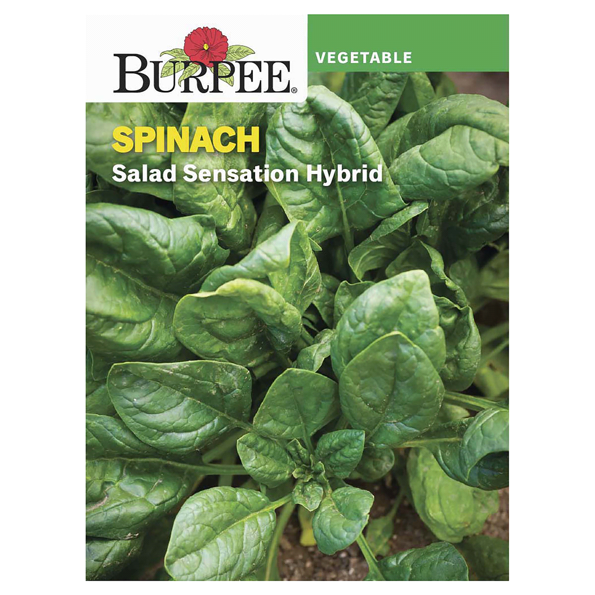 slide 1 of 5, Burpee Spinach Salad Sensation Hybrid Seeds, 1 ct