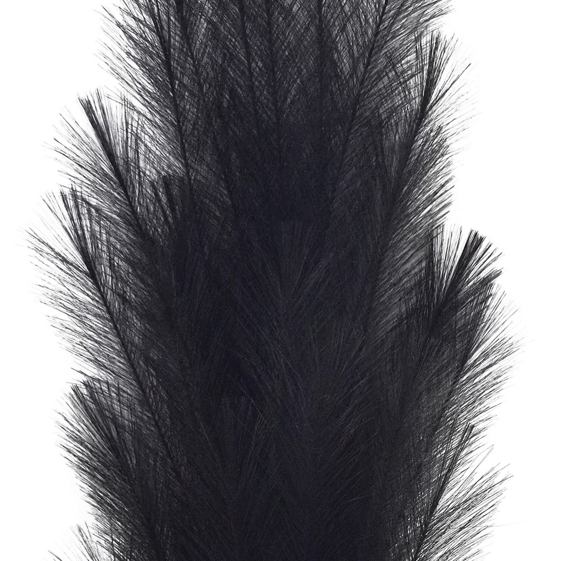 slide 2 of 3, 42" Black Pampas Grass Stem By Ashland, 42 in