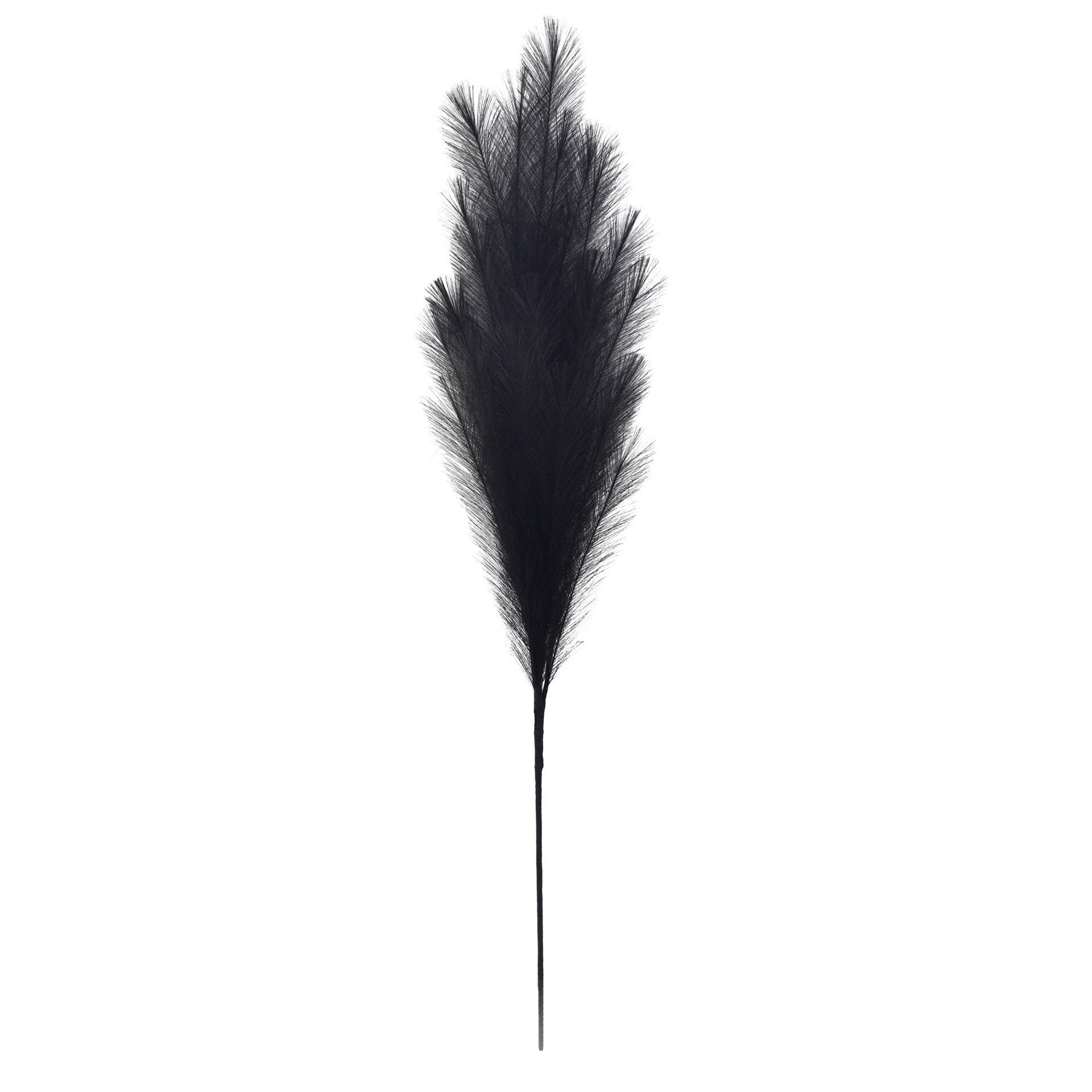 slide 3 of 3, 42" Black Pampas Grass Stem By Ashland, 42 in