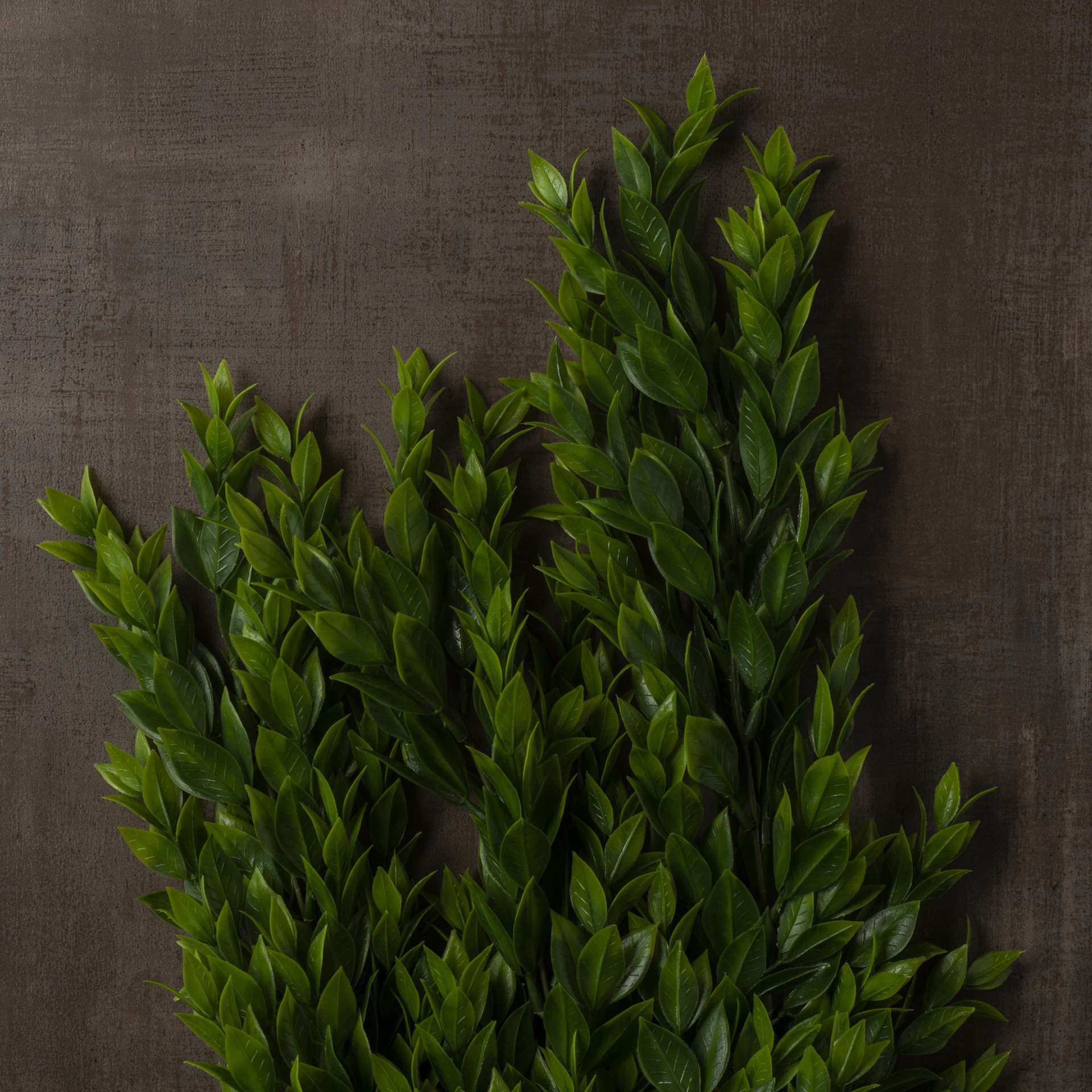 slide 4 of 5, Hanging Ruscus Bush By Ashland, 25.6 in