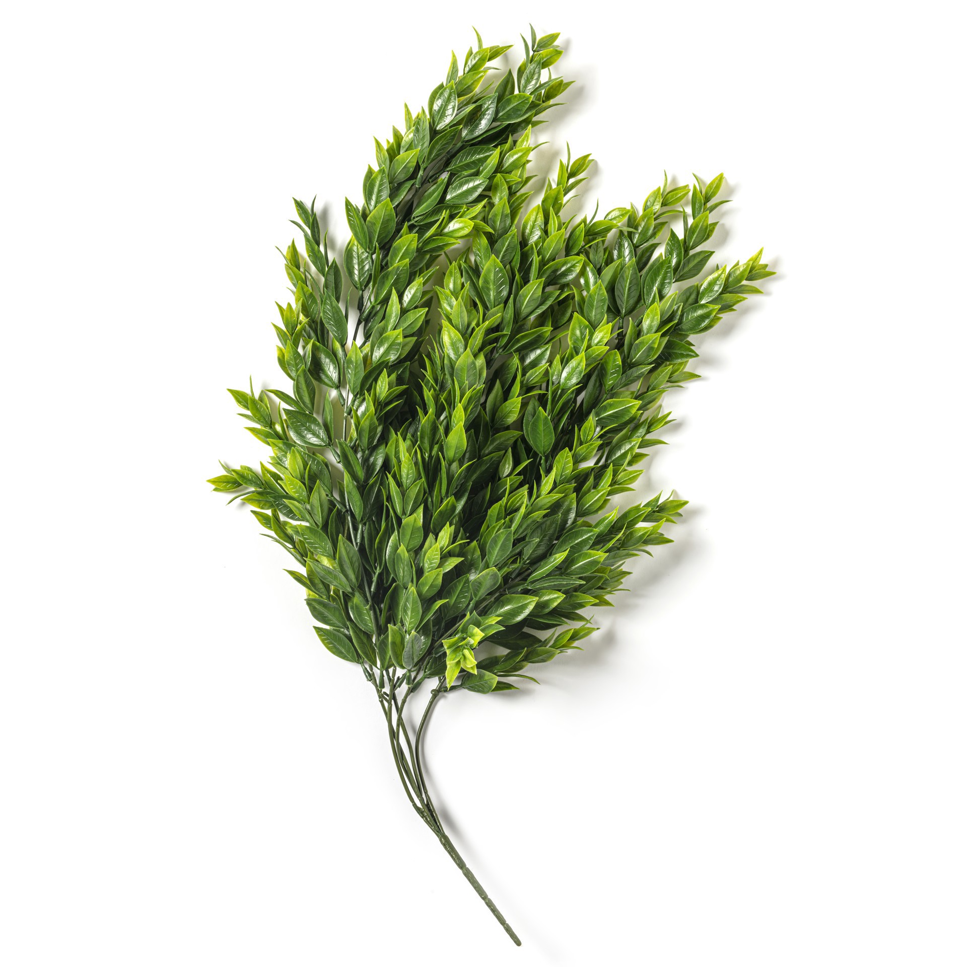 slide 5 of 5, Hanging Ruscus Bush By Ashland, 25.6 in