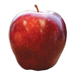 JONATHON APPLES BAG